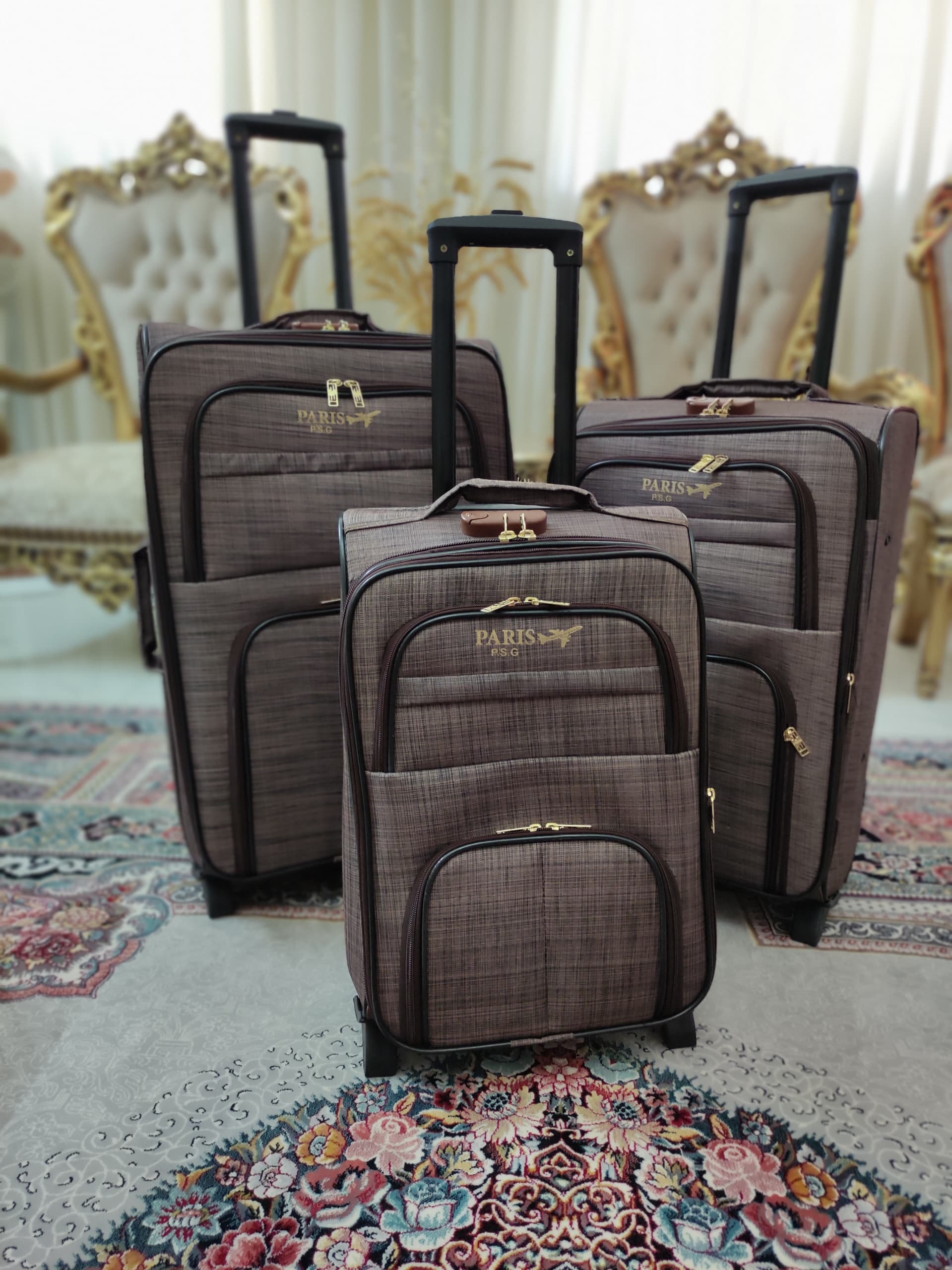 چمدان پاریس