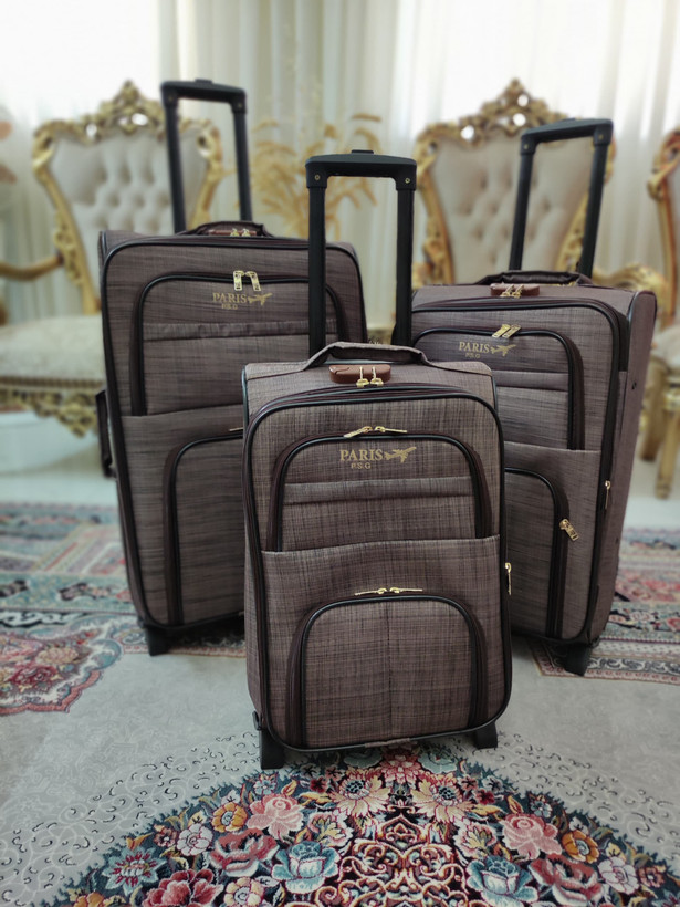 چمدان پاریس